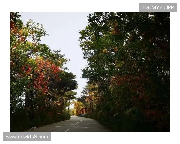 凯发电游客户端下载手机版：随时随地开启精彩纷呈的线上娱乐之旅